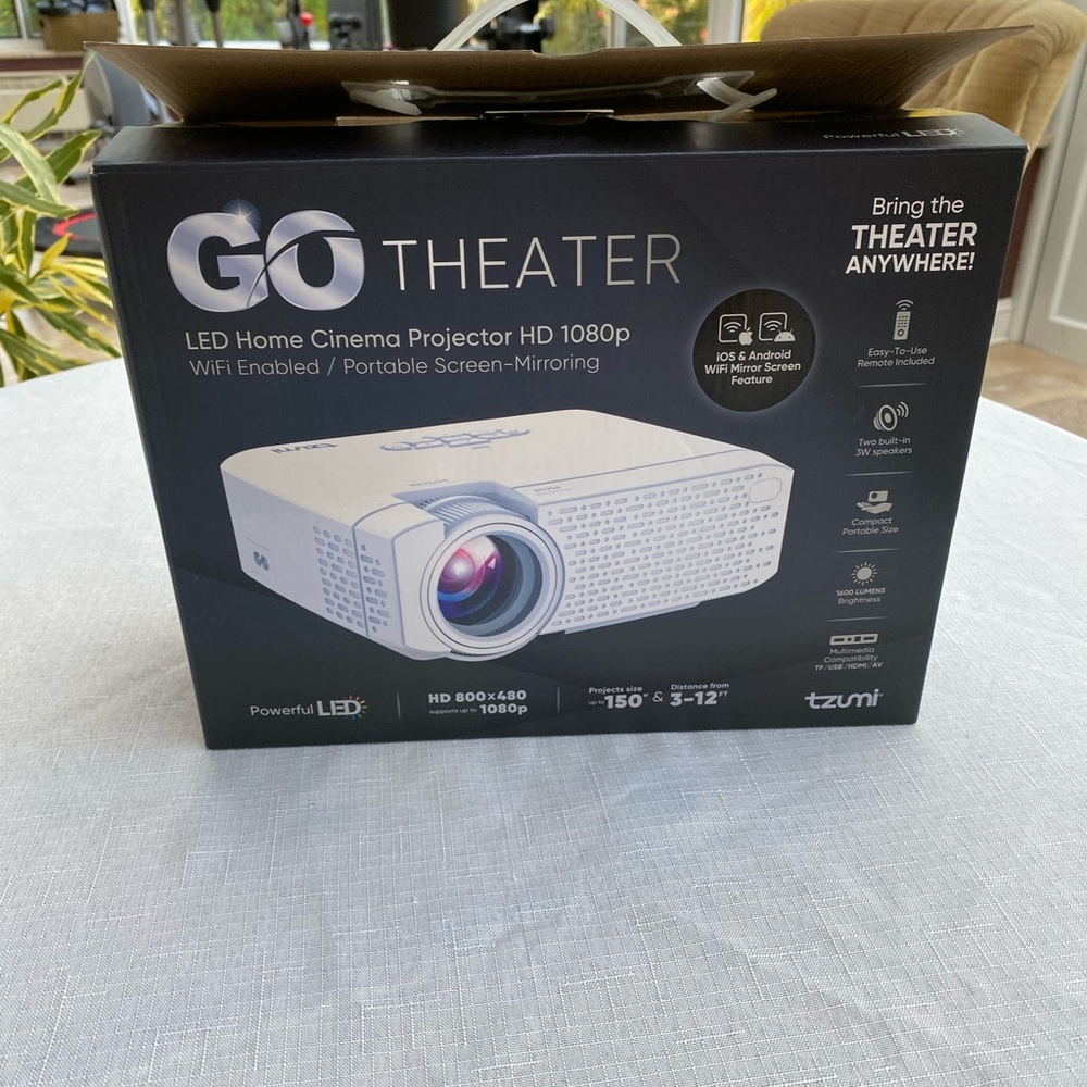 Projector